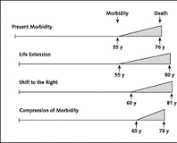 The Compression of Morbidity Theory Graph